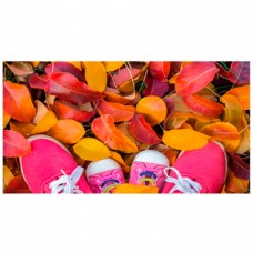 Коврик придверный PHOTOPRINT 'ЛИСТЬЯ И КЕДИКИ' (40х60)