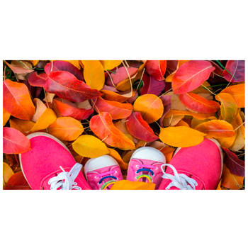 Коврик придверный PHOTOPRINT 'ЛИСТЬЯ И КЕДИКИ' (40х60)