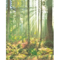 Штора для ванной ФОТОДИЗАЙН ST CT1220-20085 с кольцами 180х200 см