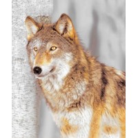 Штора для ванной ФОТОДИЗАЙН ST CT1220-20086 с кольцами 180х200 см