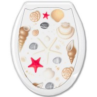 Сиденье для унитаза 'ОКЕАН' ФОТОПРИНТ Ракушка на белом